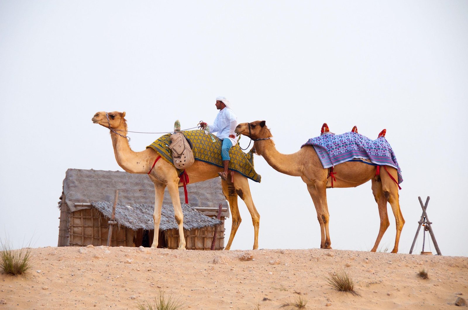 Guests on a desert safari at sunset